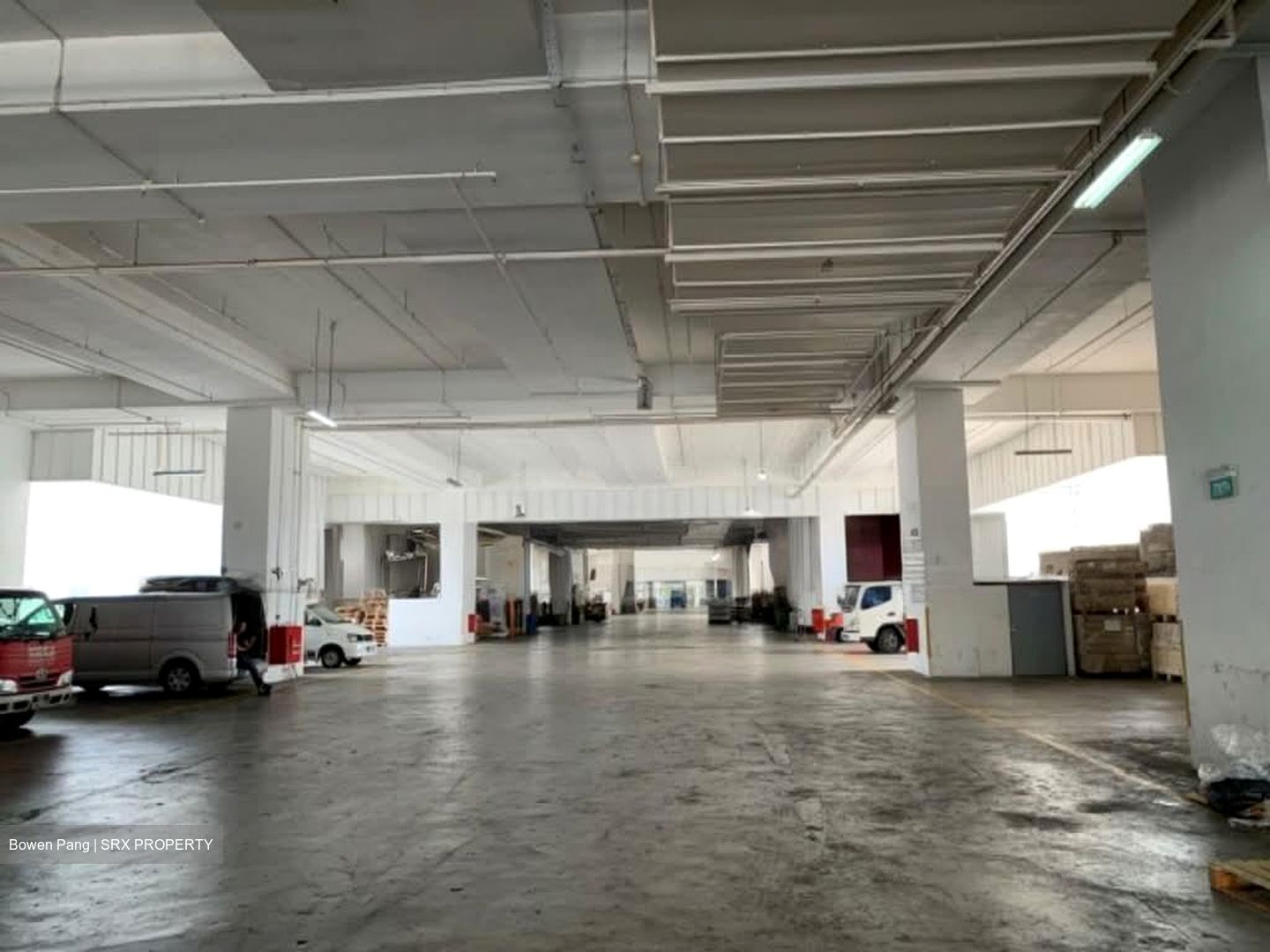 North Spring Bizhub (D27), Factory #567486671